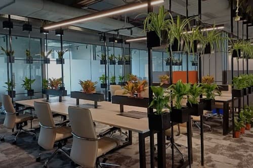 A modern open-plan coworking space with hanging plants, glass partitions and rows of empty desks and chairs